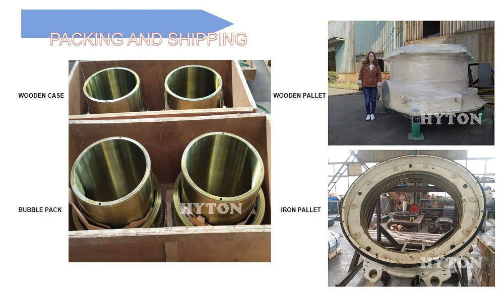 Cone Crusher Spare Parts Top Bearing Apply for Gp300 Crusher