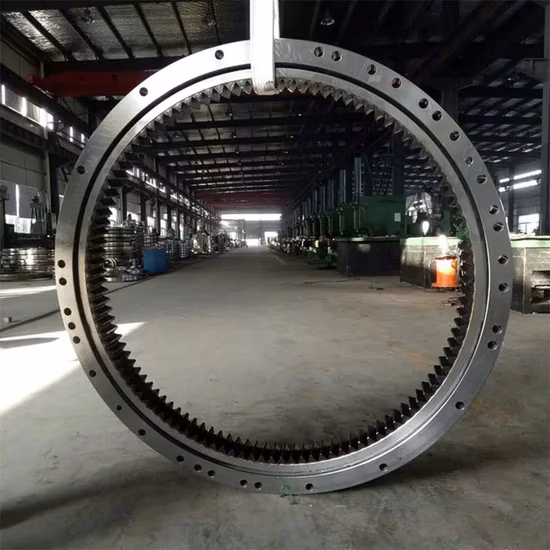 Fabricante de rolamento giratório na China Anel giratório 21n